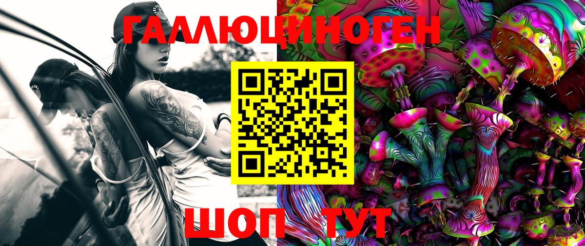 Псилоцибиновые грибы прущие грибы  Псилоцибиновые грибы мицелий  купить закладку  Вход с VPN  Комсомольск-на-Амуре 